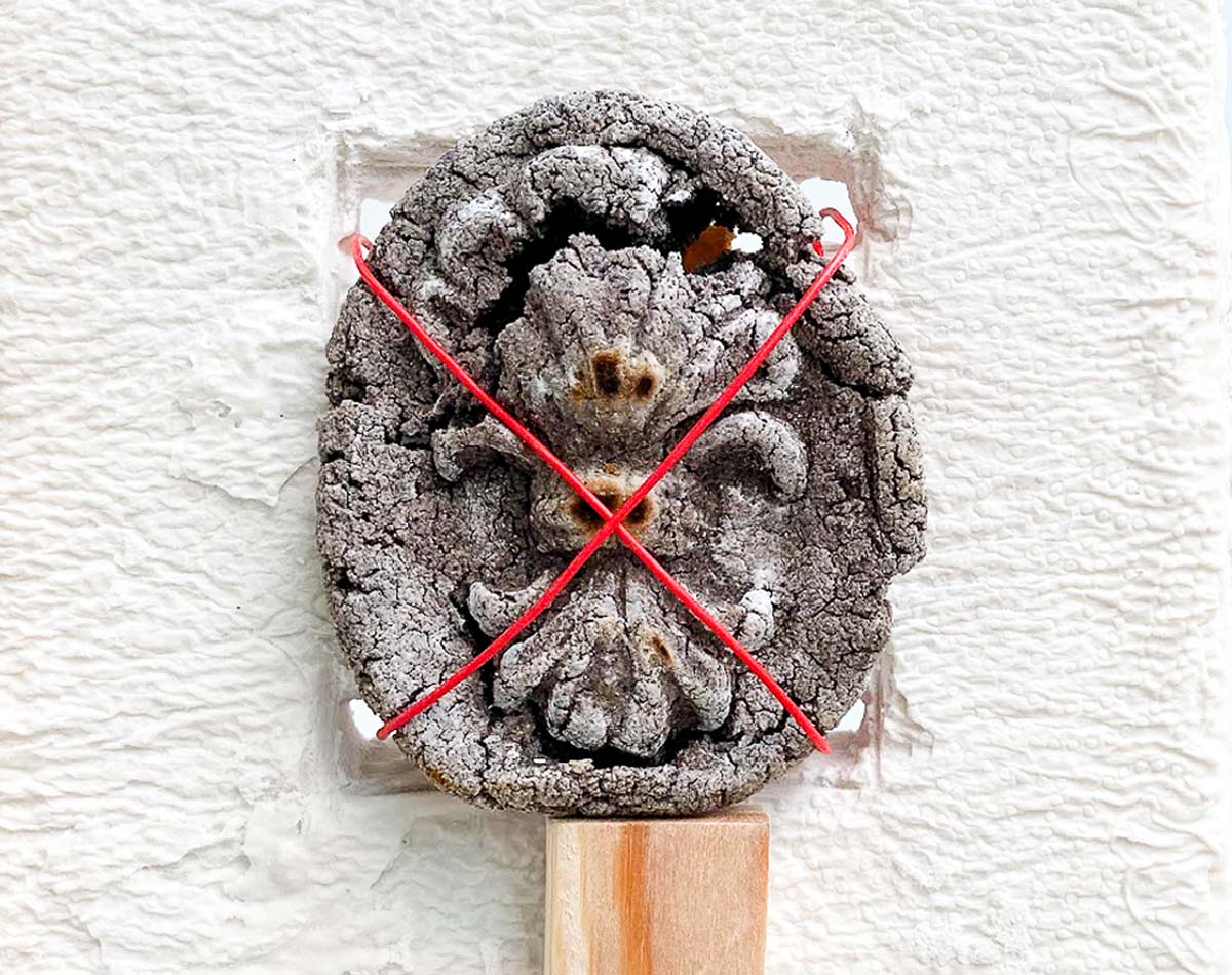 Curated by Berenice Hernández